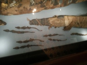 Crocodile mummies at the Kunsthistorisches Museum in Vienna.