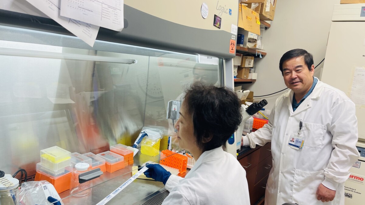 Two medical scientists work in a lab