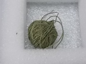 Ball of cotton thread dyed light green. This thread is not as finely spun and you can see the twist of the two separate threads around each other.