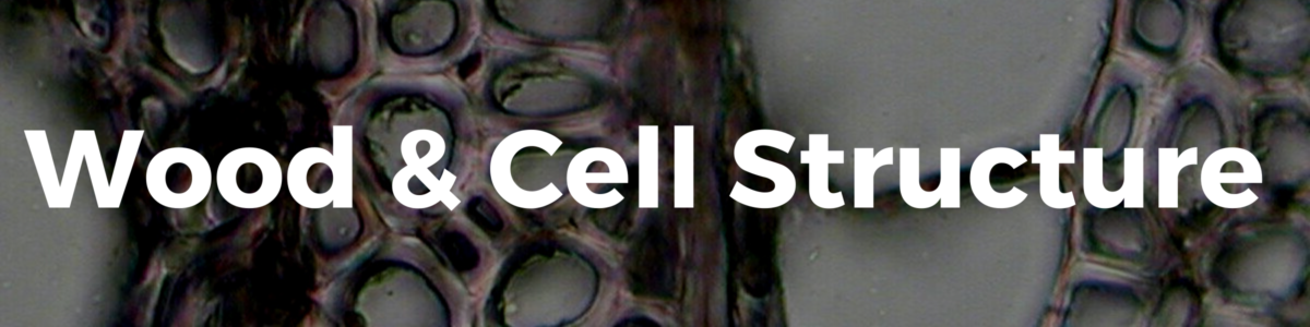 Wood & Cell Structure Title Card