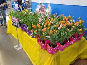 Walmart Pikeville - Do you love toast? Do you love flowers? This