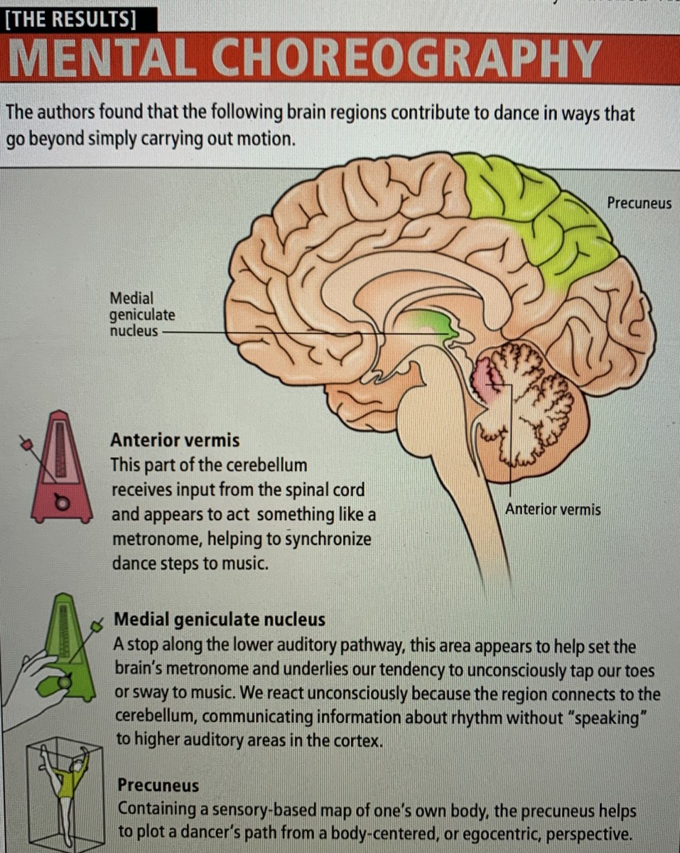 The Imprint of Dance on the Brain – Arts on the Brain