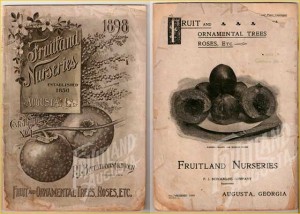 fruitland history