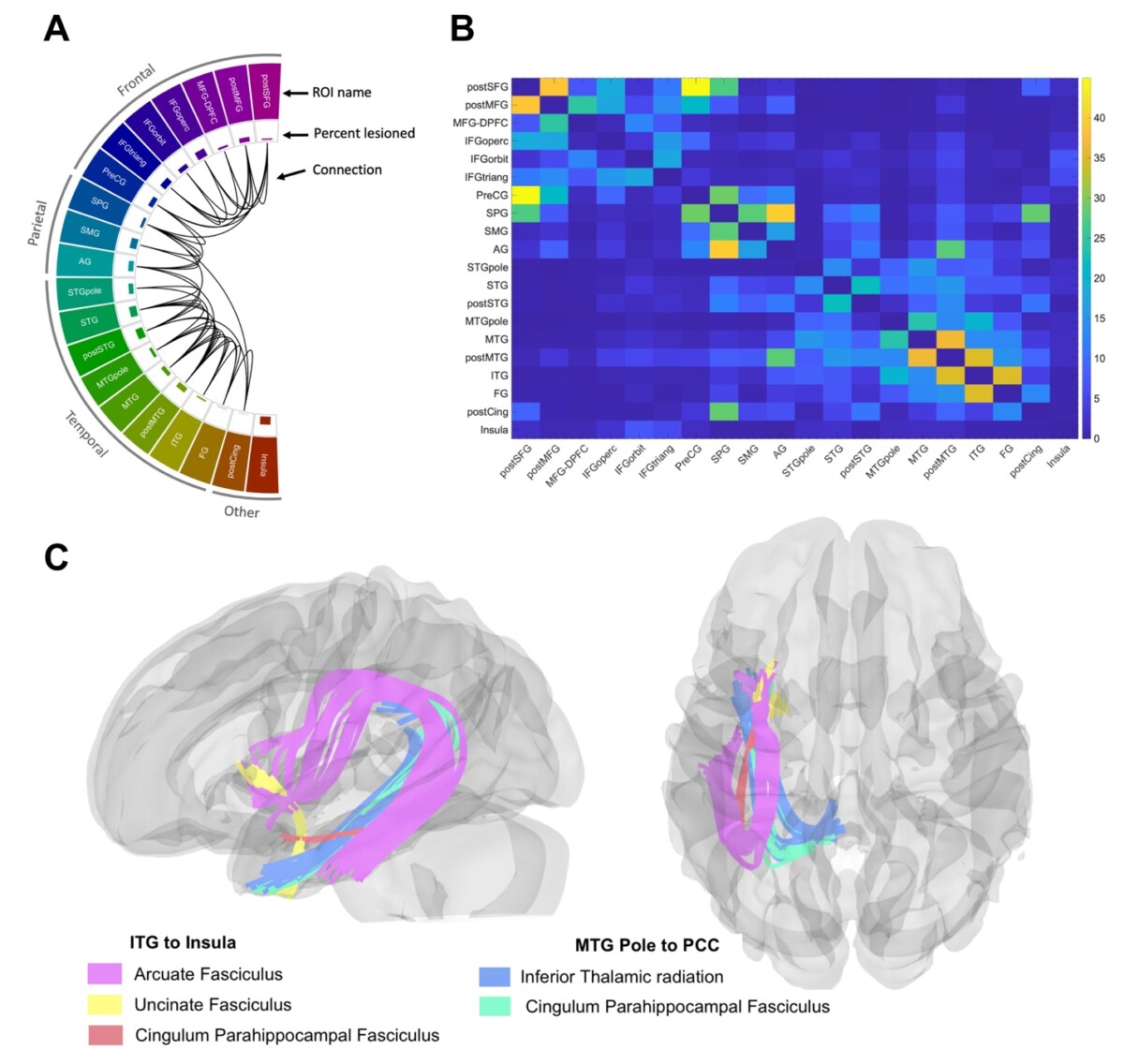 News & Bonilha Lab