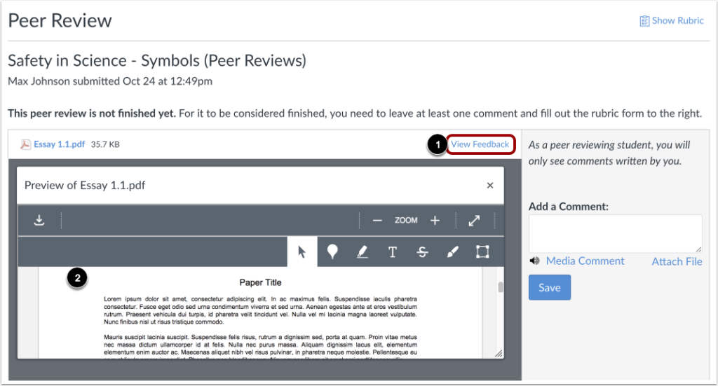 how to review assignment on canvas