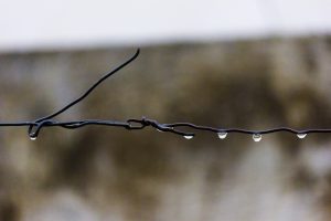 Water Droplets on Wire Fence