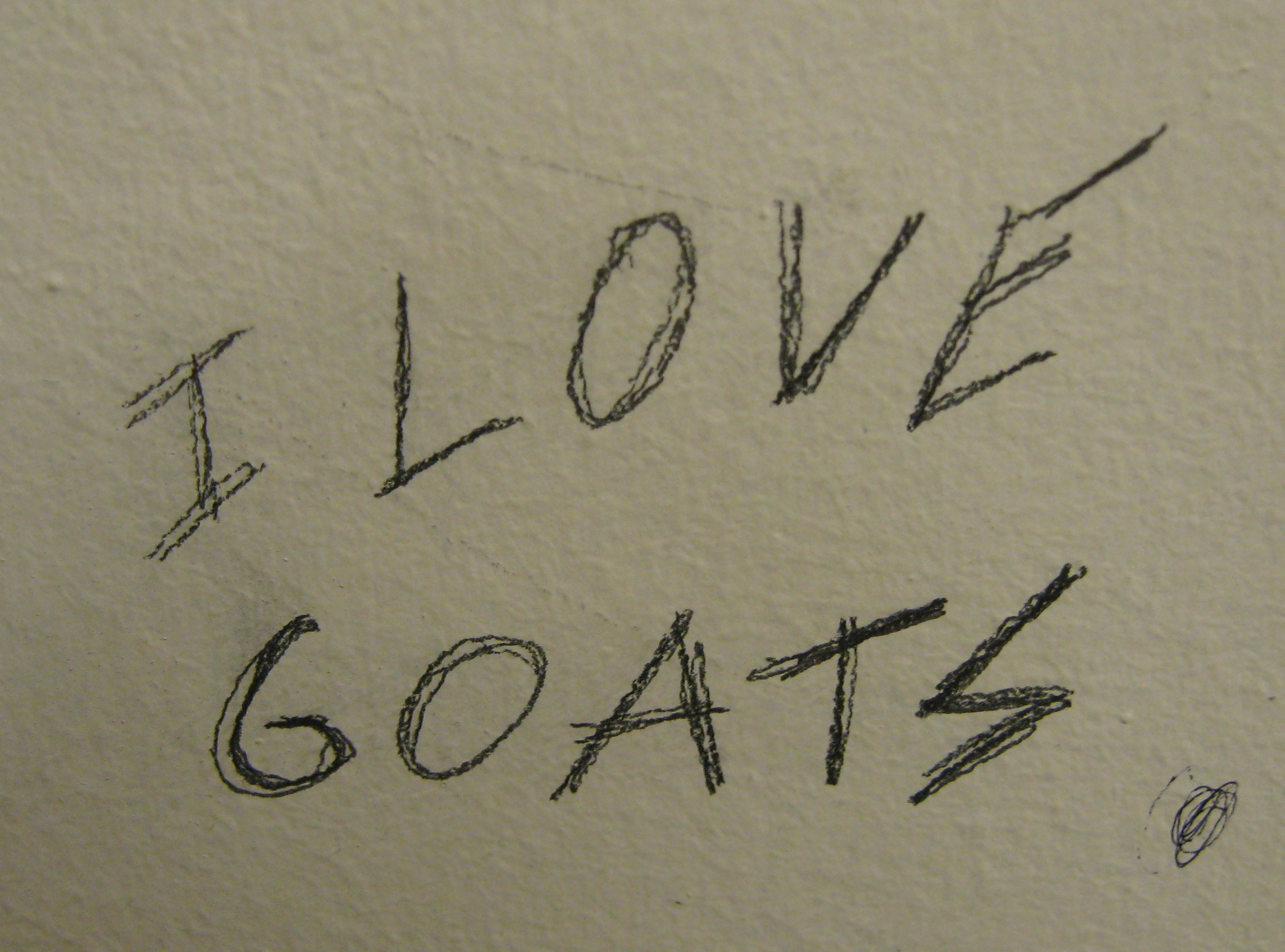 Emory University Stall Grafiti says I Love Goats
