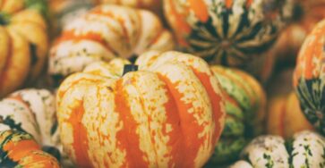 colorful decorative pumkins