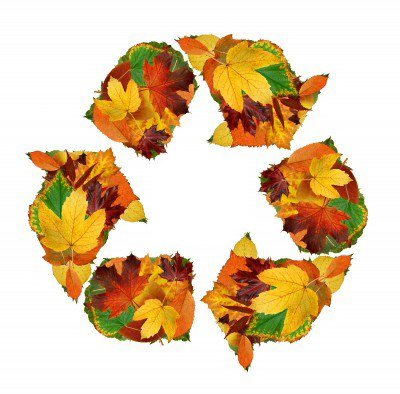 recycle symbol made from leaves