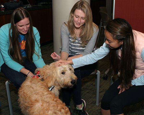 Photo of students interacting with a dog