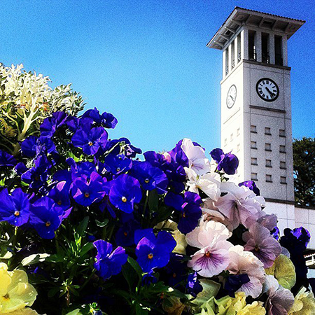 Photo of Emory's Cox Hall in springtime