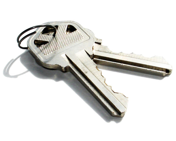 Photo of two keys on a ring
