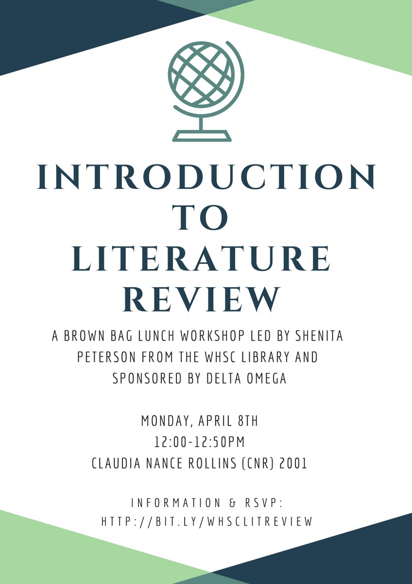 literature review workshop