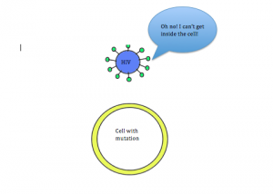 Figure 2B: Mutated cell without the CCR5 receptor. HIV is not able to enter and infect the cell, thus making the individual immune to the virus. 