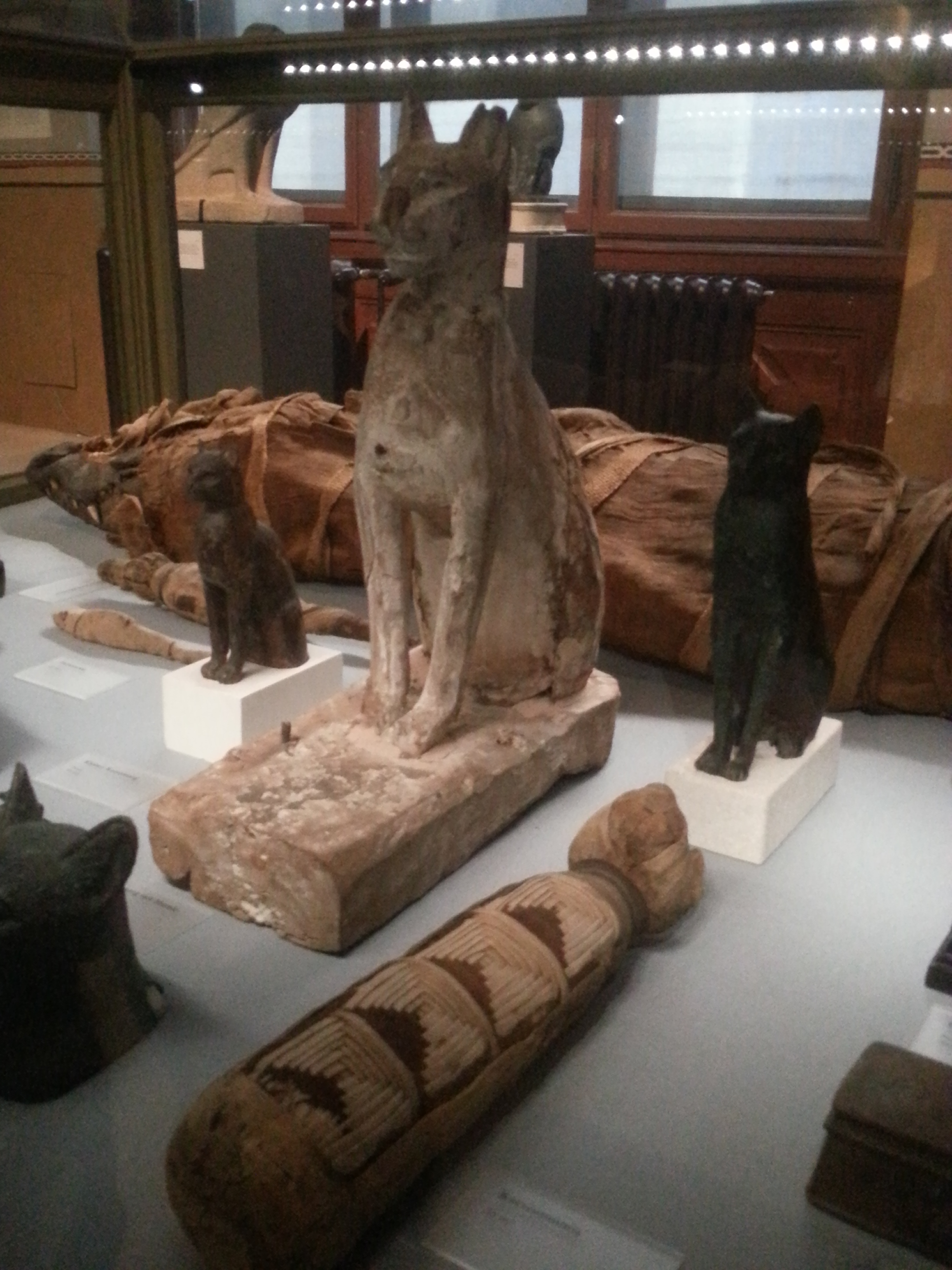 Animal Mummies: How we cherish pets beyond life | Anthropological  Perspectives on Death