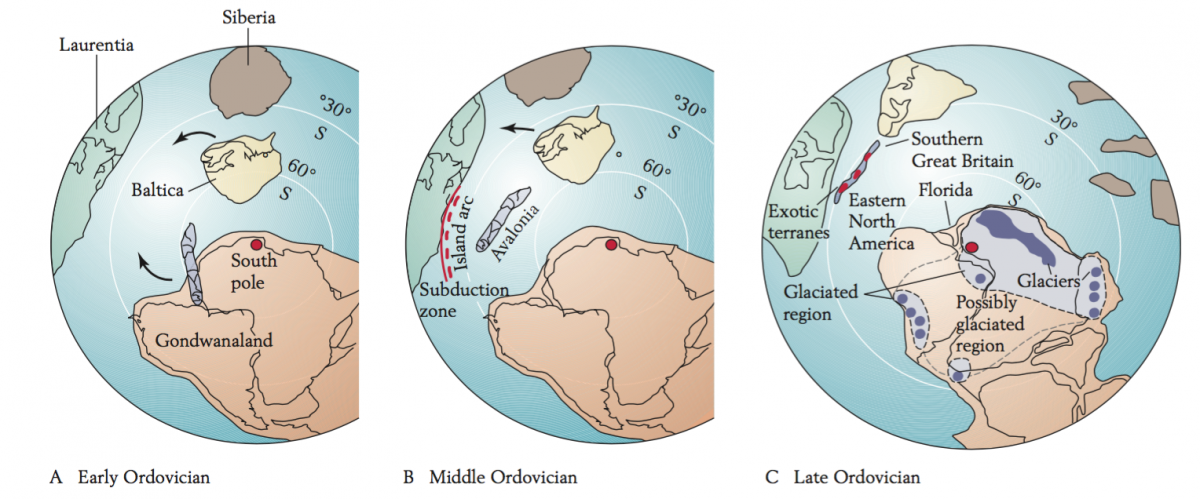 taconic paleogeography