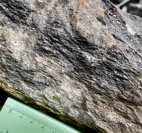 The rocks seen around the town of Dahlonega were strongly foliated (grains are very flattened by metamorphism) micaeous schists, including garnet schists. The high degree to which the grains of the parent schists have been flattened (foliated) and stretched is one of proxies geologists use to interpret the history of extreme metamorphism and deep burial that affected the Dahlonega gold deposits. 