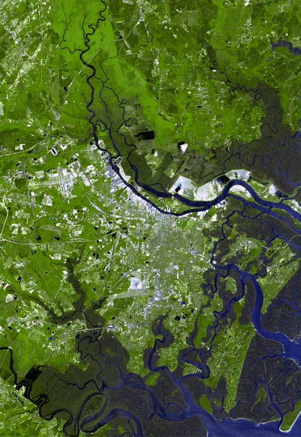 Savannah River Estuary – Georgia – Landscapes and Geomorphology