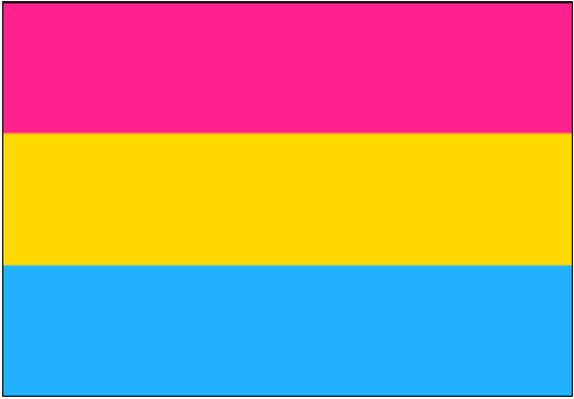 Pansexuality Pride Flag These Colors Run Deep