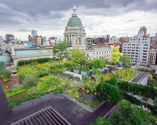Photo of a city skyline with a green roof in the foreground