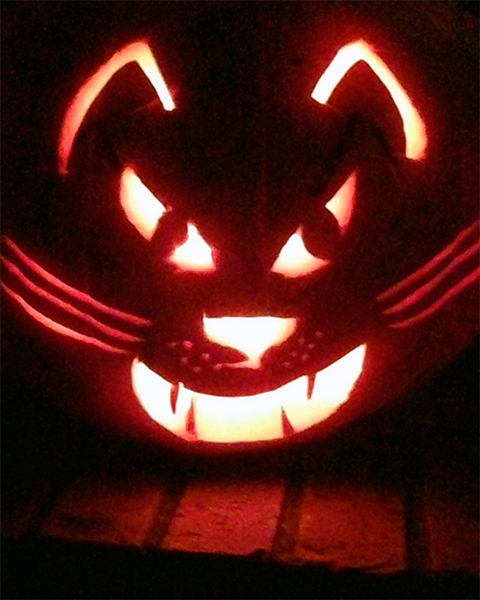 Photo of Halloween pumpkin