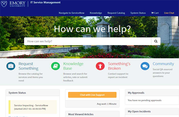 Screen shot of new service home page