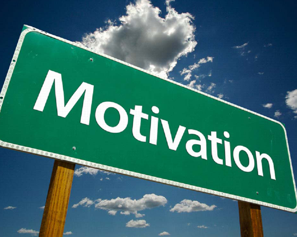 What Motivates Us to Work?