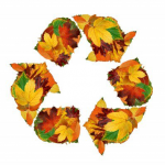 recycle symbol made from leaves