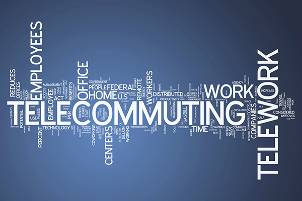 Enterprise Applications director sees productive response to telecommuting challenge