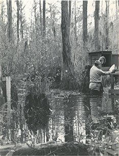Mosquito collection, Emory University Field Station on Ichuaway Plantation, Baker County, Georgia, ca. 1938-1945. Photograph by United States Public Health Services Office of Malaria Control in War Areas, Melvin H. Goodwin Papers, Manuscript, Archives, and Rare Book Library, Emory University.