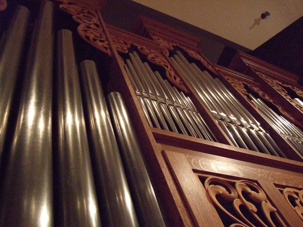 Skyview of an organ. 