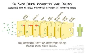 A representação do "Programa de defesa respiratória do queijo suíço"