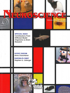 Neurosci_special_issue_cover