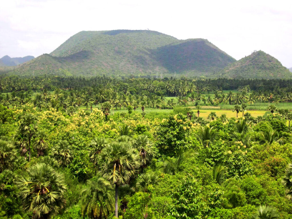 Hilly landscape near Bojjannakonda in Andhra Pradesh, 2006. Photo by Harshita Mruthinti Kamath.