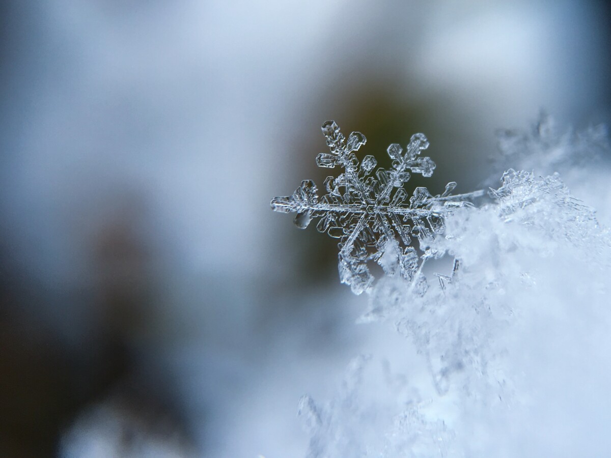 https://www.stockvault.net/photo/188132/snowflake-closeup